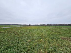 Nabízíme na pronájmem pozemek vhodný na autobazar, parkování - 20