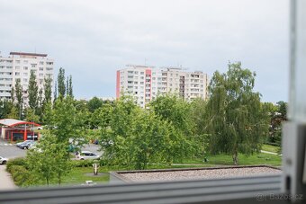 Byt 1+kk v Hradci Králové po rekonstrukci - 20