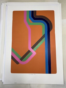 Jan Saudek litografie celek - 20