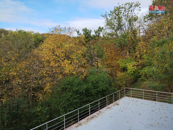 Prodej rodinného domu, 345 m², Klecany - 20