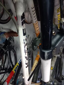 Retro kola mtb 90roky - 20