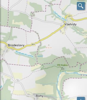 Lesní pozemek Všehrdy u Kralovic - 20