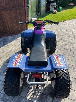 Yamaha YFM 350 Warrior - 20
