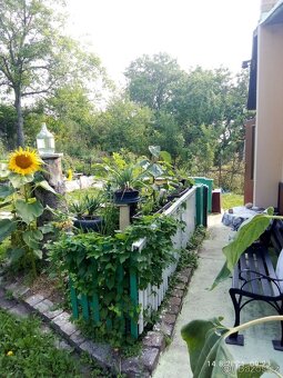 Parcela,zahrada,chatka - 20