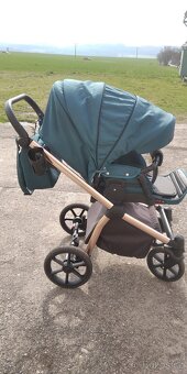 Camarelo Previo - 20