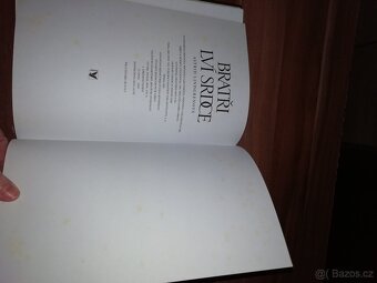 Astrid Lindgrenová knihy Jižní louka- nová, Bratří lví srdce - 20