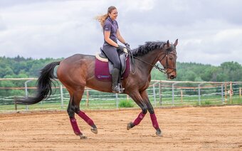 Drezurni sedlo Kentaur Afrodité - 20