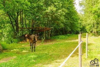 Prodej rodinný dům 3+1, 127 m2 - Petrovice u Karviné - 20