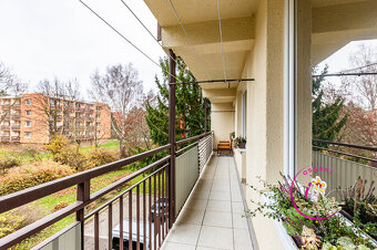 Prodej bytu 3+1 Jihlava, Nad Plovárnou - 20