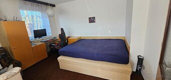 Prodej rodinného domu 169 m², pozemek 2003 m² Alojzov - 20