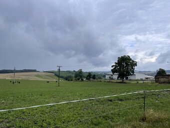 HŘÍBÁRNA NA EDENU - 20