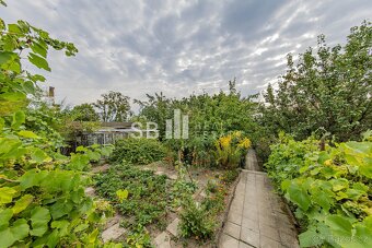 Prodej rodinného domu 3+1, 1.185 m², ul. Vejmoly, Loštice, o - 20