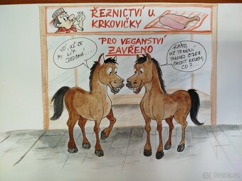 Kulaté balíky sena z luk v CHKO Šumava - 20