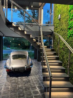 Jaguar e-type - 20
