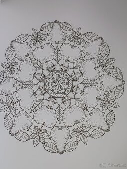 Omalovánky 50 Autumn Mandalas - 20