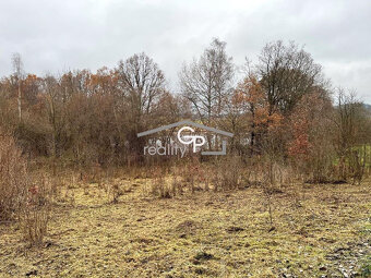 Prodej RD s pozemky, Hracholusky - 20