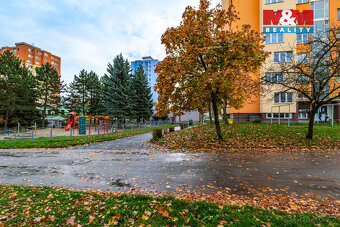 Prodej bytu 2+1, 53 m², Tachov, ul. Zárečná - 20