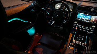 Jaguar - 20