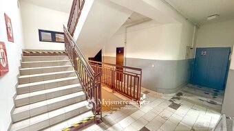 Prodej obchodní prostory, 796 m² - Jihlava - Hruškové Dvory - 20