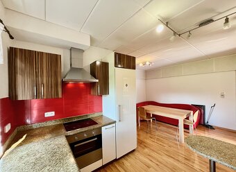 Pronájem bytu 6+ kk 110 m² - 20