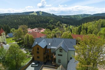 Prodej apartmánu 2+kk Plešivec (Abertamy) - 20