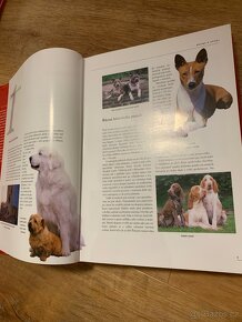 PSI - velký obrazový lexikon - 20