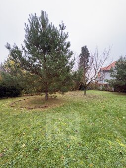 Pronájem bytu 3+1 120 m² se zahradou 300 m², Praha - Hluboče - 20