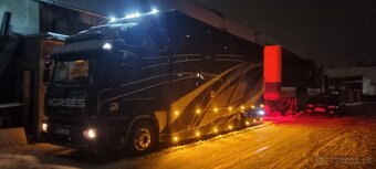Iveco prepravnik na koně - 20