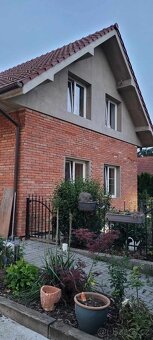 Cihlové obkladové pásky z právních historických cihly - 20