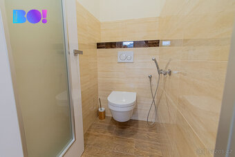 Prodej rodinného domu 261 m², pozemek 1243 m², Šternberk - 20