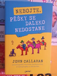 OBLÍBENÉ NOVÉ KNIHY ZA 99KČ ZA KUS, 2+1 ZDARMA - 20