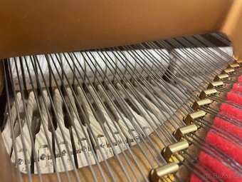 Steinway & Sons Modell D- 274 cm Only now super price - 20