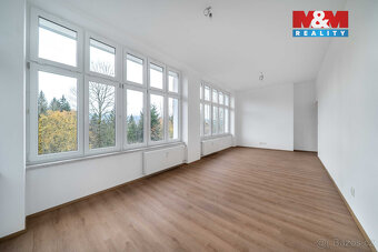Prodej nájemního domu, 683 m², Hamry - 20