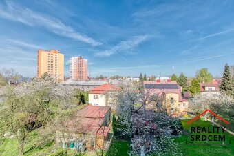 Pronájem bytu v os. vlast. o velikosti 3+1+lodžie/66m2 na ul - 20