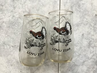 sklenice Flora Olomouc, Restaurace, více druhu - 20