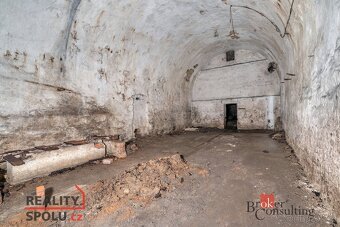 Prodej, pozemky/bydlení, 2963 m2, Olešnice v Orlických horác - 20