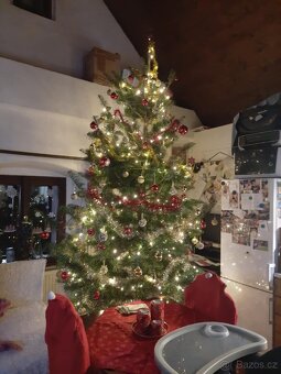 Vánoční stromky, stromečky, špičky a větve na výzdobu - 20