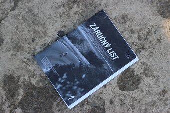 ✅ Specialized Enduro Comp Carbon 29 (2020) - S3 - ✅ - 20