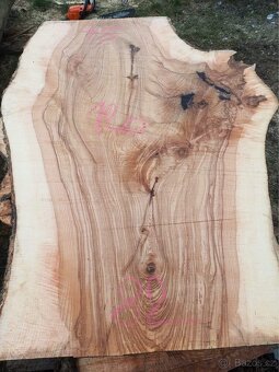 Fošny jasan,modřín ,XXL fošny - 20