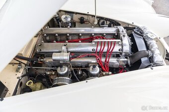 Jaguar XK120 Coupe - 20