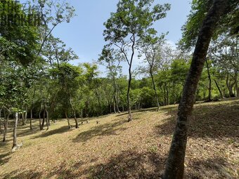 Lot 1 Bodden Bight Estate, Roatan - 20