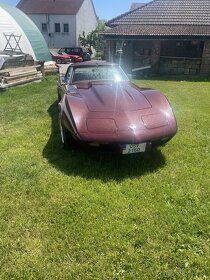 corvette - 20
