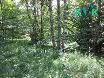 Prodej pozemku o velikosti 3 489 m2, v OV, Tisová u Nejdku - 20