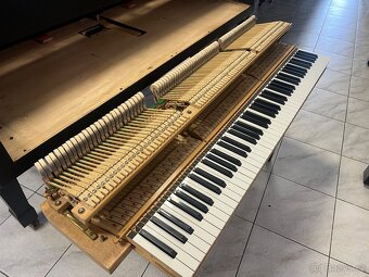 Křídlo Weinbach - Petrof mod.155 se zárukou, doprava zdarma. - 20