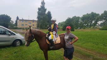 Prodej velmi hodného vychovaného pony poníka kategorie B - 20