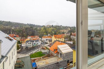 4+kk,235m2, Praha 5 - 20