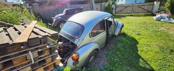 2x Vw Brouk - 20