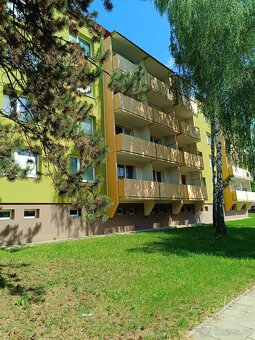 Prodám byt 3+1 - 20