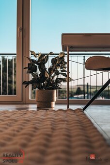 Prodej, byty/4+kk, 190 m2, Nepomucká 1347/148, 32600 Plzeň,  - 20