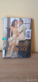 Lexikon české literatury 1- A-G 95 KČ - 20